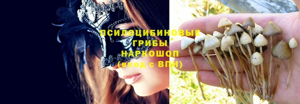 дживик Балахна