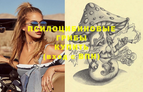дживик Балахна