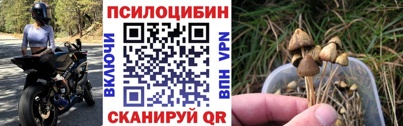 Галлюциногенные грибы ЛСД Суоярви